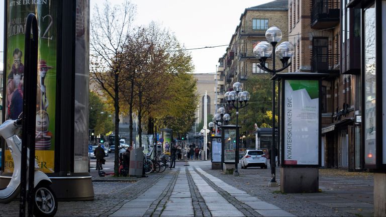 Bild som visar Avenyns övre gågata med skyltskåp. I bakgrunden syns Göteborgs konstmuseum.