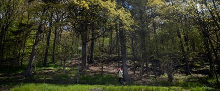 En person springer i skogen