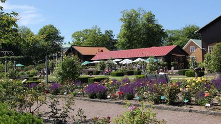 Rosenkaféet med Rosovalen i förgrunden.
