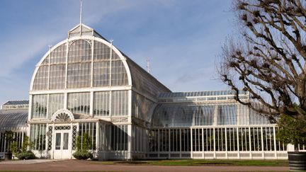 En del av Palmhuset utifrån på en solig dag.