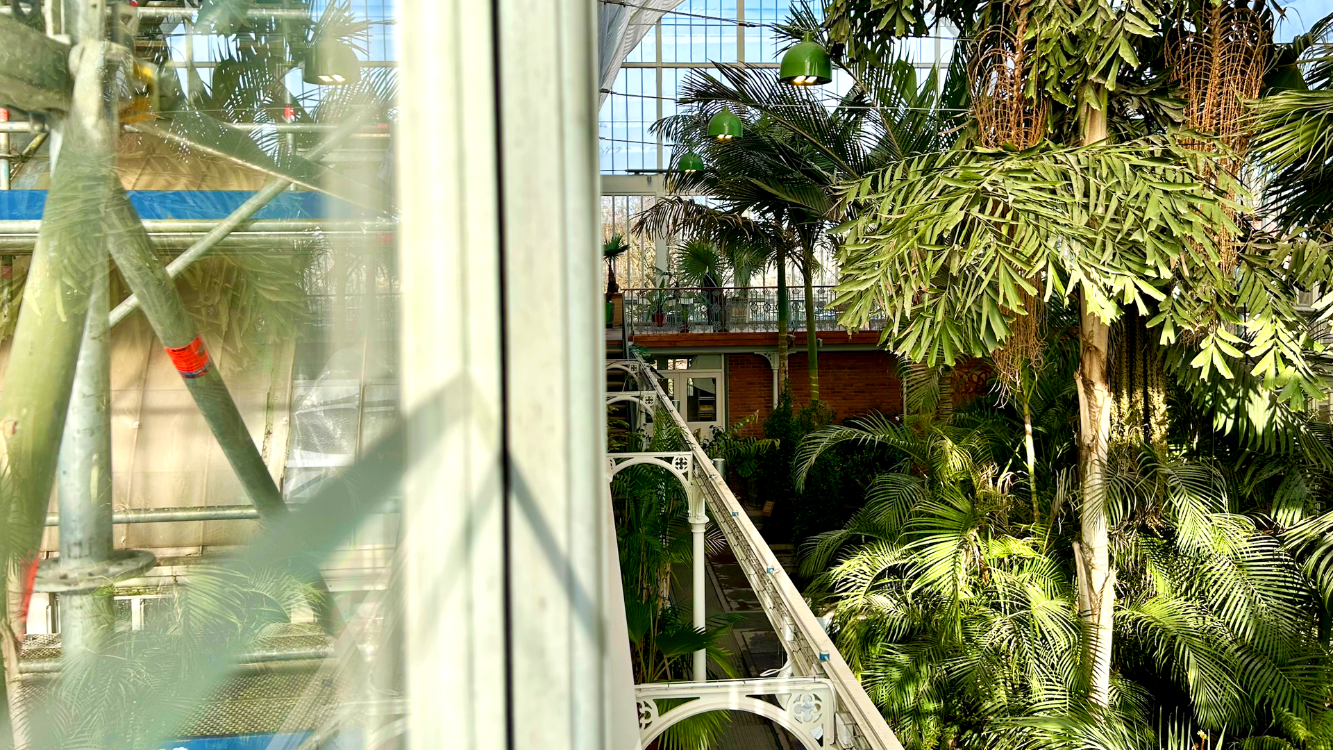 Palmhuset stänger 16/3