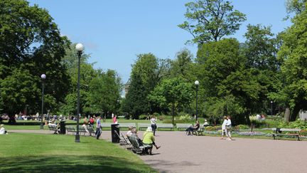 Större gång i Trädgårdsföreningen, omgiven av gräsmattor och träd. 