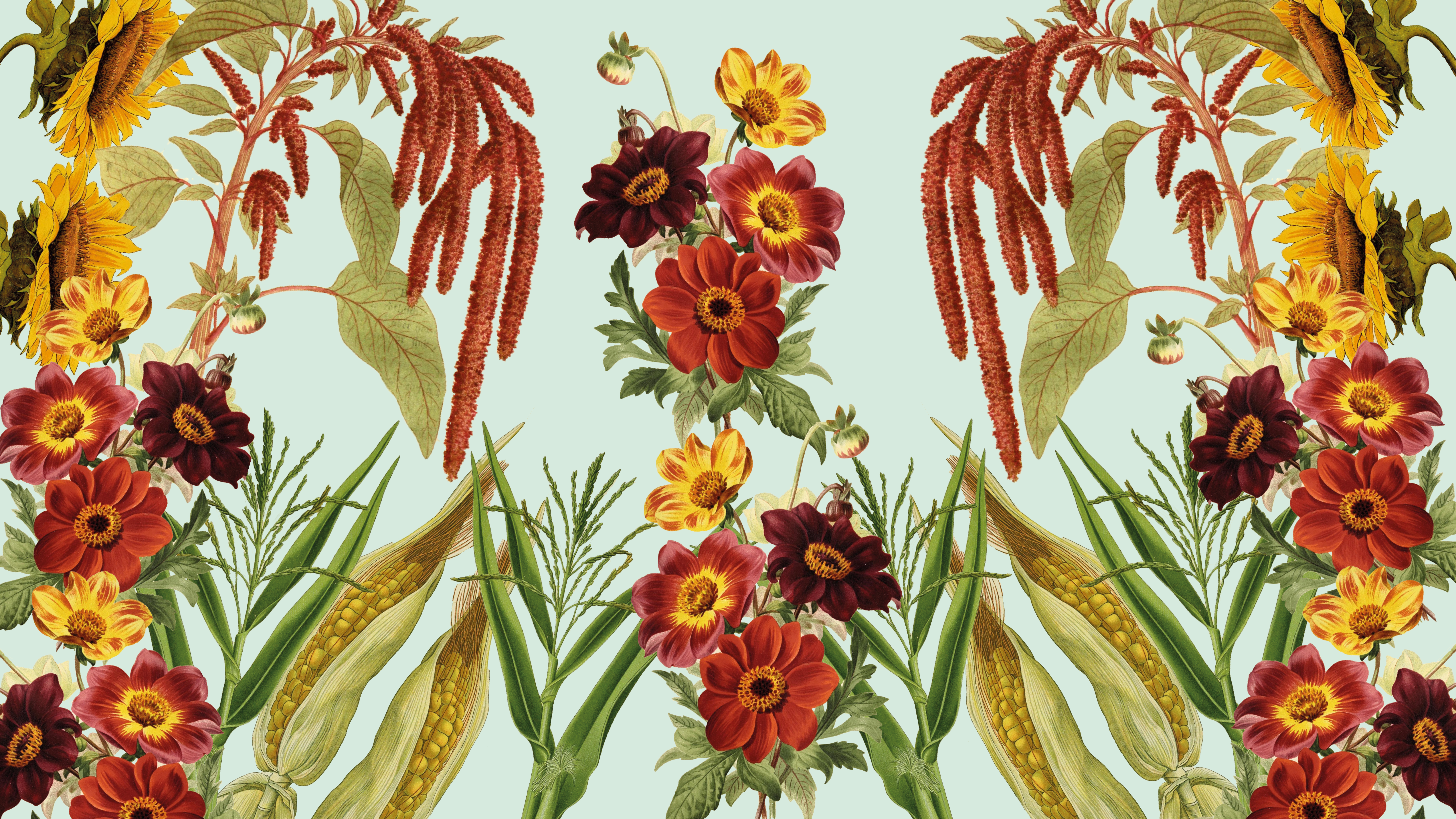 Ett collage med illustrationer av majs, amarant och dahlia 