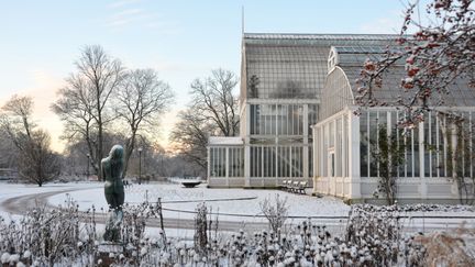 Snö på marken utanför Palmhuset, en solig vinterdag.