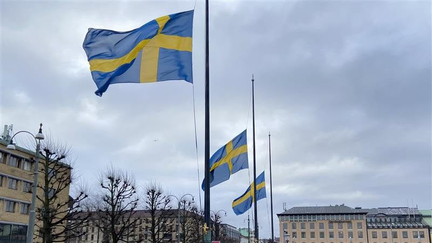 Tre svenska flaggor på halv stång framför byggnader och kala träd, mot en grå himmel.