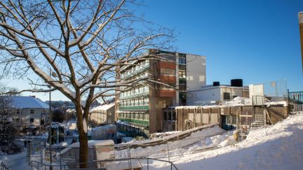 Bild på Dalheimers hus under pågående renovering. 