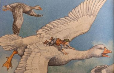 Illustration ur boken om Nils Holgersson där han sitter på en flygande gås.