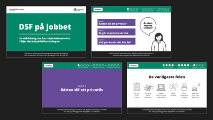 Exempel på sidor i en webbutbildning för desktop. Text och illustration tillsammans med stadens färger.