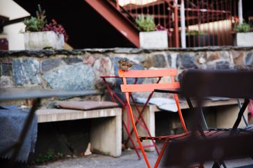 Caféstolar på en uteservering