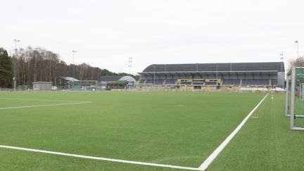 Grön bollplan under vit himmel. I bakgrunden läktare.