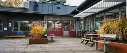 En skolgård med bänkar och växter framför en skolbyggnad.