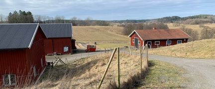 Utsikt över lantgård. Tre röda hus, stora åkrar och fält. Skogen syns i bakggrunden