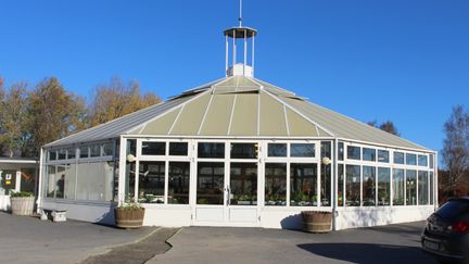 En b ild på Stora Holms växthus.