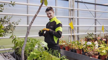 En kille håller på med plantor i ett växthus.
