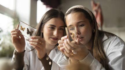 Två elever i ett klassrum som kollar på fjärilar. 