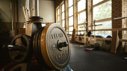 Bild på vikter inne i gymmet. Foto av Frank & Earnest