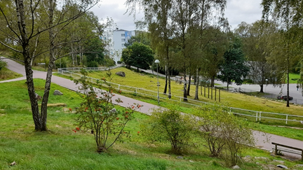 Ett grönområde med ett gångstråk, i bakgrunden syns bostadshus.