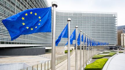Flags outside the Gothenburg European Office