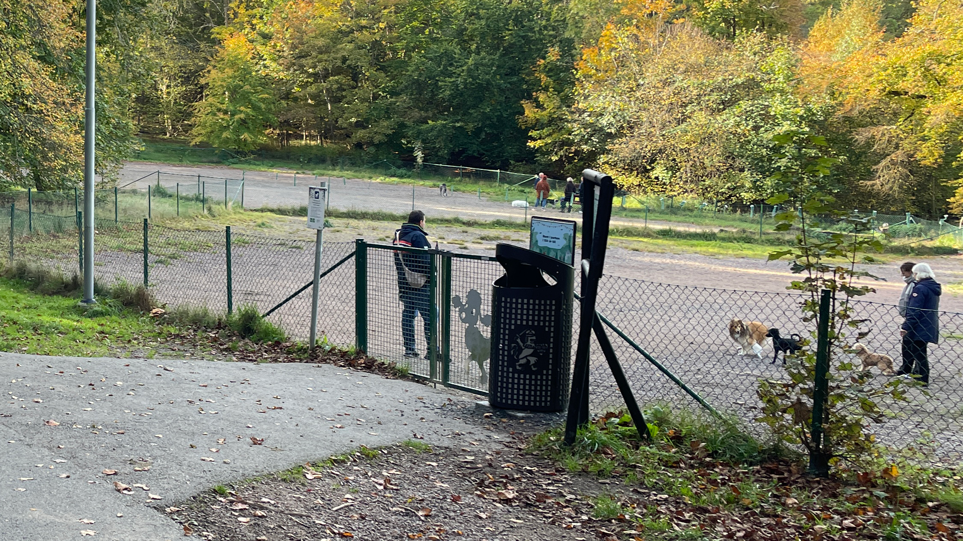 Slottsskogens hundrastgård blir lekvänligare och grönare för alla hundar