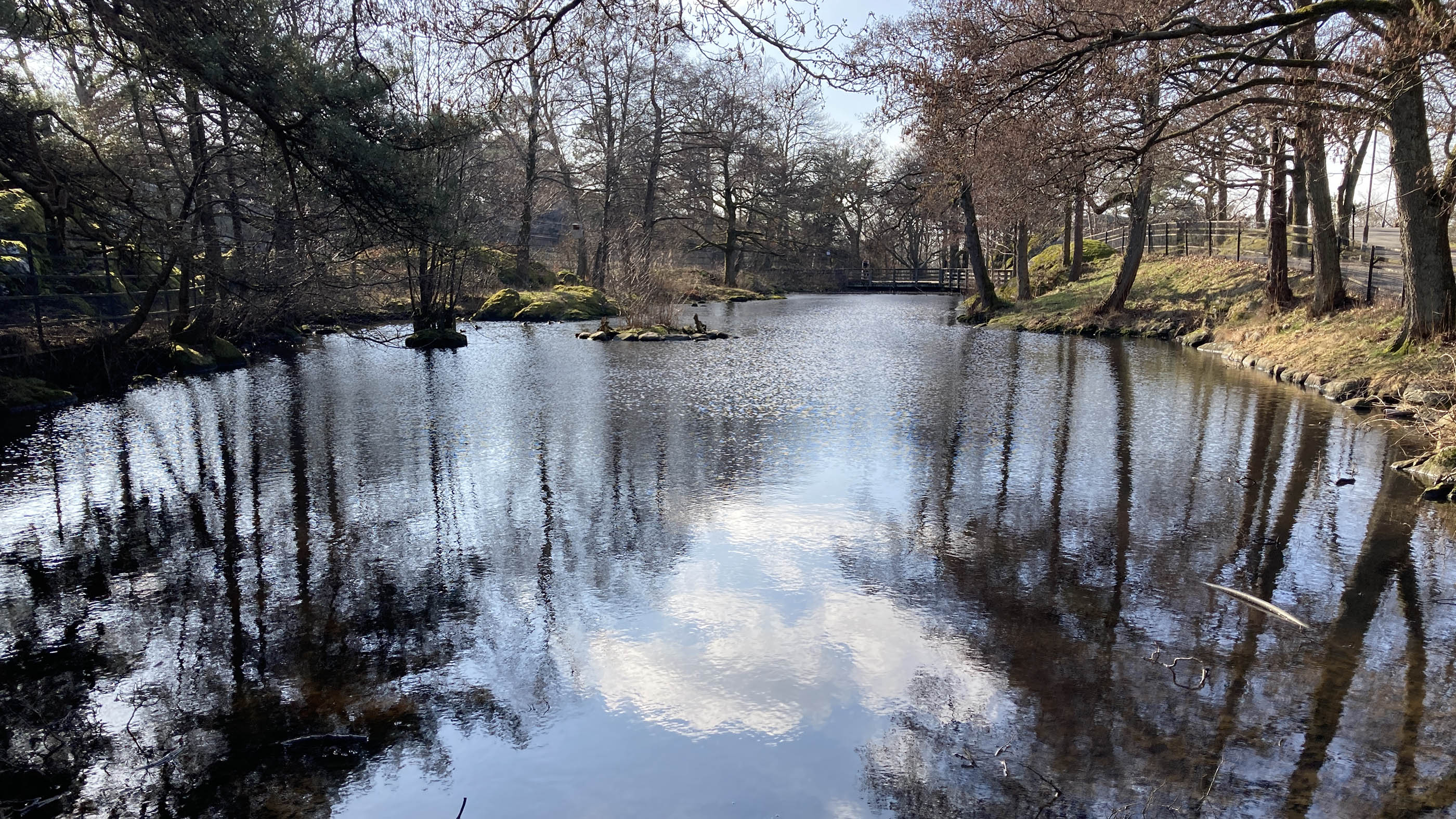 Hästhagsdammen får en omstart