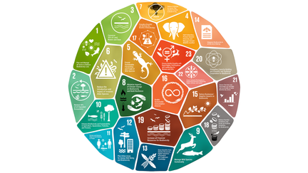 Illustration där varje åtgärd är en mosaikplatta i olika färger, och tillsammans bildar de en cirkel.
