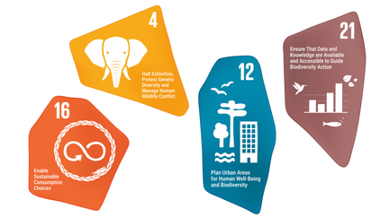 Illustration av fyra separata färgplattor med ojämna former. Varje platta har en vit illustration på sig.