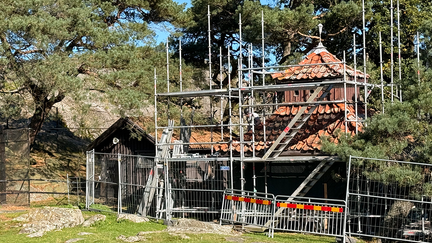Påfågelhuset får tillbaka sitt historiska uttryck