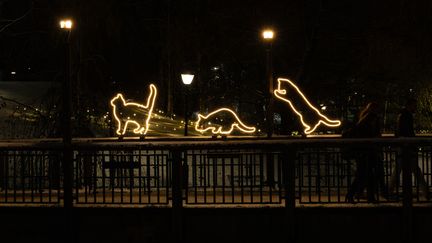 Ljuskonsupplevelse i Kungsparken 2025. Foto: Klara Hammerth / Göteborg & Co