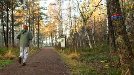 Motionsspår med träd på vardera sida. En person joggar. 