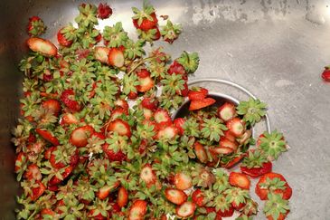 avskurna toppar från jordgubbar