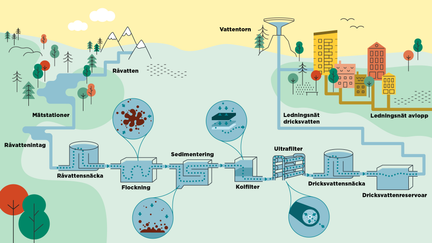 En illustration över dricksvattenprocessen. Från fjällbäck, via vattenverket, reservoarer och ut till göteborgaren, via ledningsnätet.