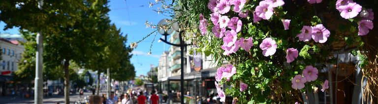 Bild från gatan Avenyn med blommor och människor som flanerar