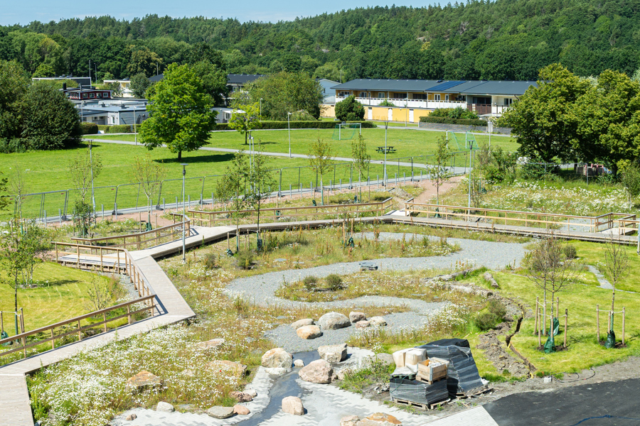 Bild på Torlandaskolans skolgård. Här syns en vattenfylld damm och ett trädäck som går runt dammen. 
