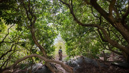 Ett barn som leker i en mystisk skog. Foto: Lo Birgersson