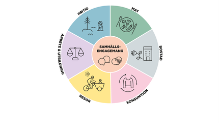 Illustration av livshjulets olika delar