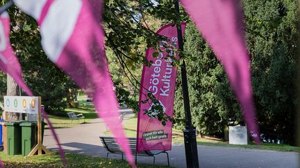 Rosa vimplar och flaggor från Göteborgs Kulturkalas.