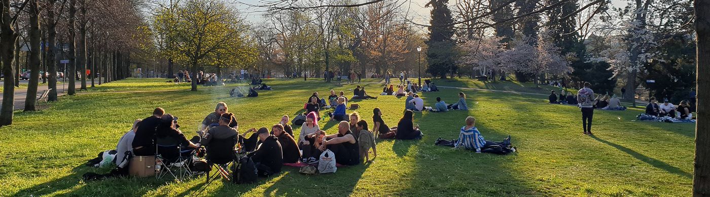 Folk sitter och chillar i en park i solen