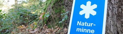 Bild av skylt vid ett träd med ordet naturminne 
