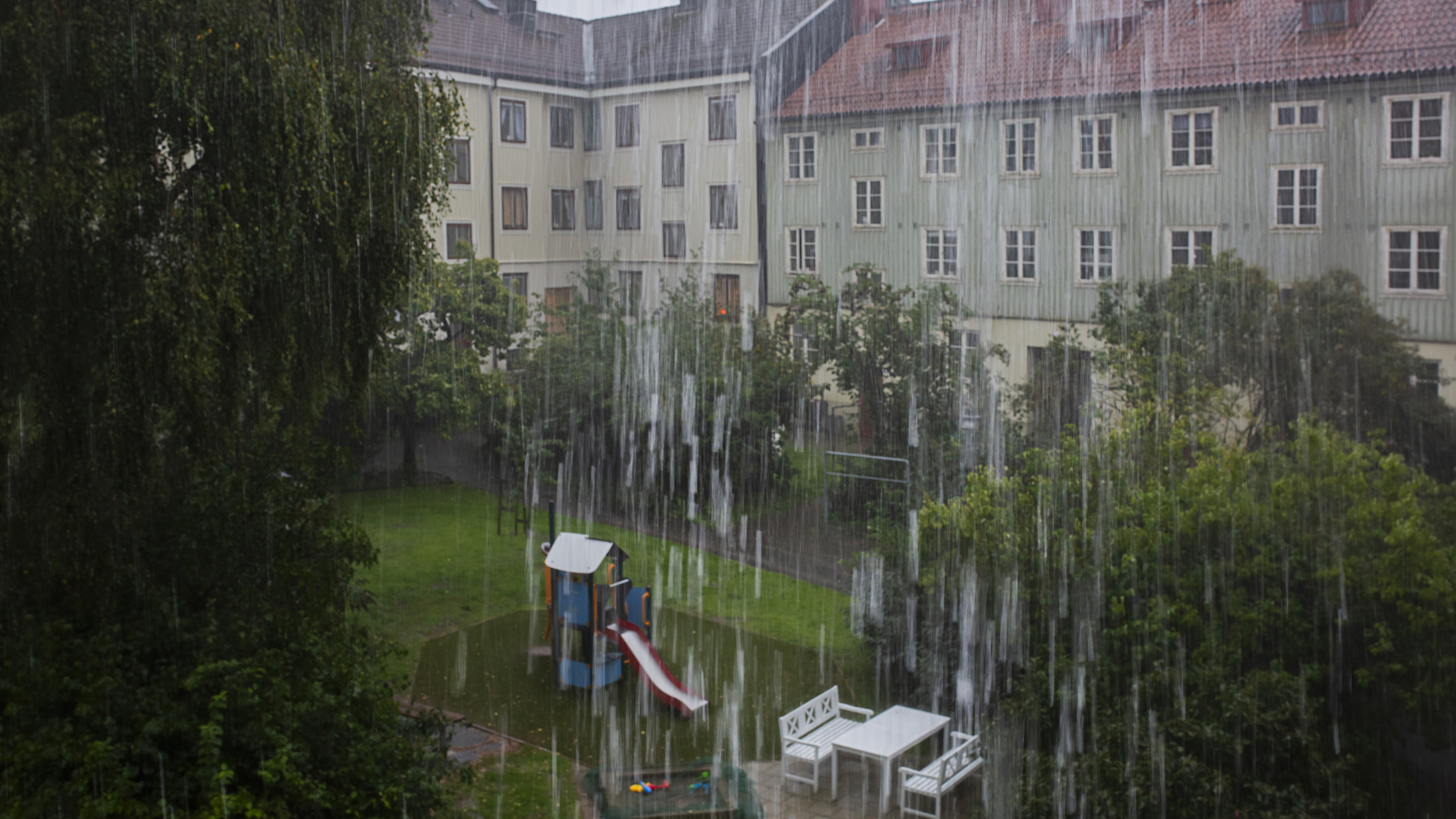 Genom ett fönster syns ett kraftigt regn på en grönskande innergård. 