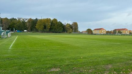 Bollplan med gräs under blågrå himmel, i bakgrunden skog och hus