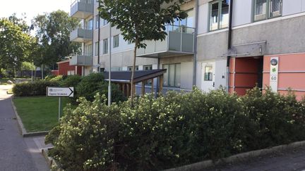 Ett hyreshus i vitt med växtlighet framför och en ingång i rosa.