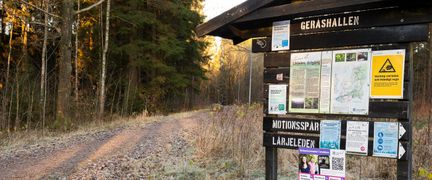 Informationstavla och skogsväg in mot motionsspåret