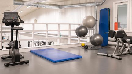 Motionsmaskin, tjock matta för stretching, pilatesbollar och ryggmaskin