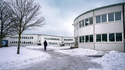 En översikt av Jättestensskolan med några träd och en person i bakgrunden.