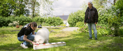 Elev tränar sök med hund utomhus med lärare