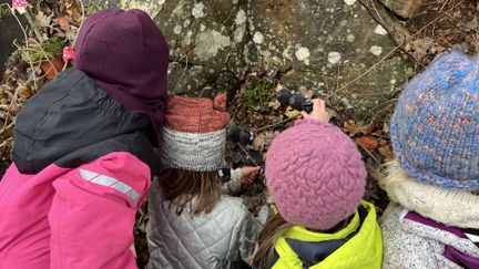 Fyra barn i vinterkläder tittar noggrant på något på en stenhäll.