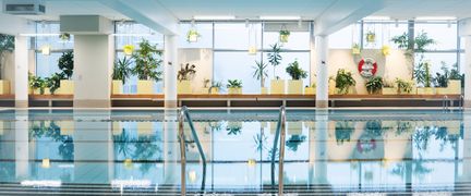 Bassängen i Hammarbadet. Vattnet är stilla. I bakgrunden syns stora fönster och många växter längs dem.