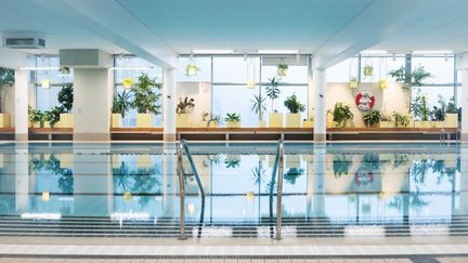 Bassängen i Hammarbadet. Vattnet är stilla. I bakgrunden syns stora fönster och många växter längs dem.