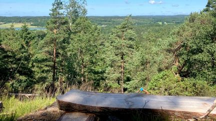 En av rastplatserna längsBlåbärsleden, med sittplatser av stockar och en grillplats. 