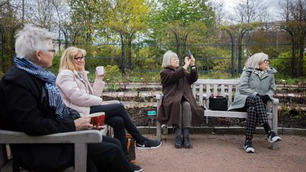 Fyra kvinnor sitter på några bänkar. En tar ett kort med mobilen.